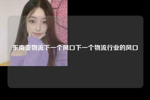 东南亚物流下一个风口下一个物流行业的风口
